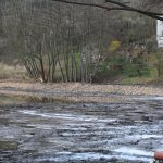 Rybník – fotografie 8