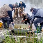 Výlov rybníka 2025 – fotografie 4